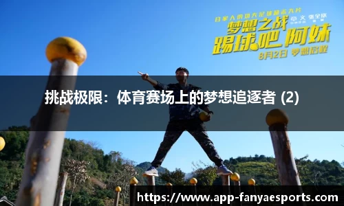 挑战极限：体育赛场上的梦想追逐者 (2)